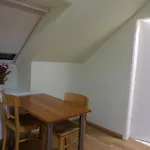 Ziemann Nartum