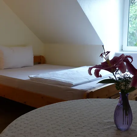 بيت ضيافة Ziemann *