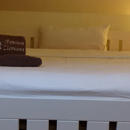 بيت ضيافة Ziemann